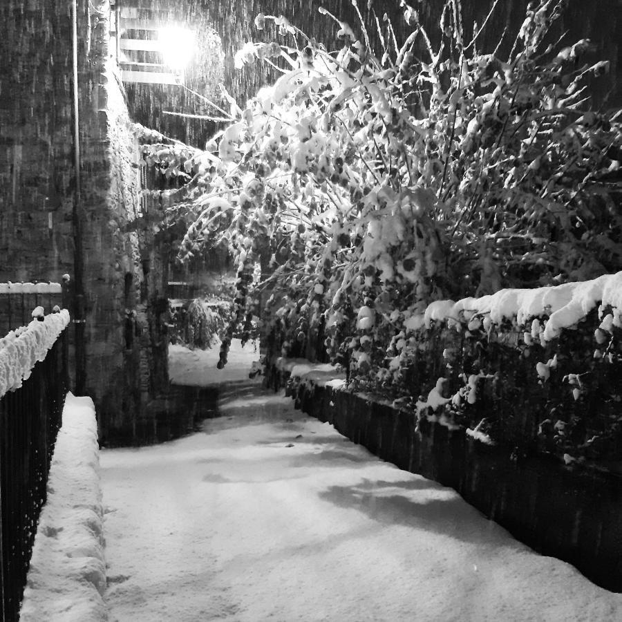 Bed and Breakfast Le Mie Radici Scopello  Exterior foto